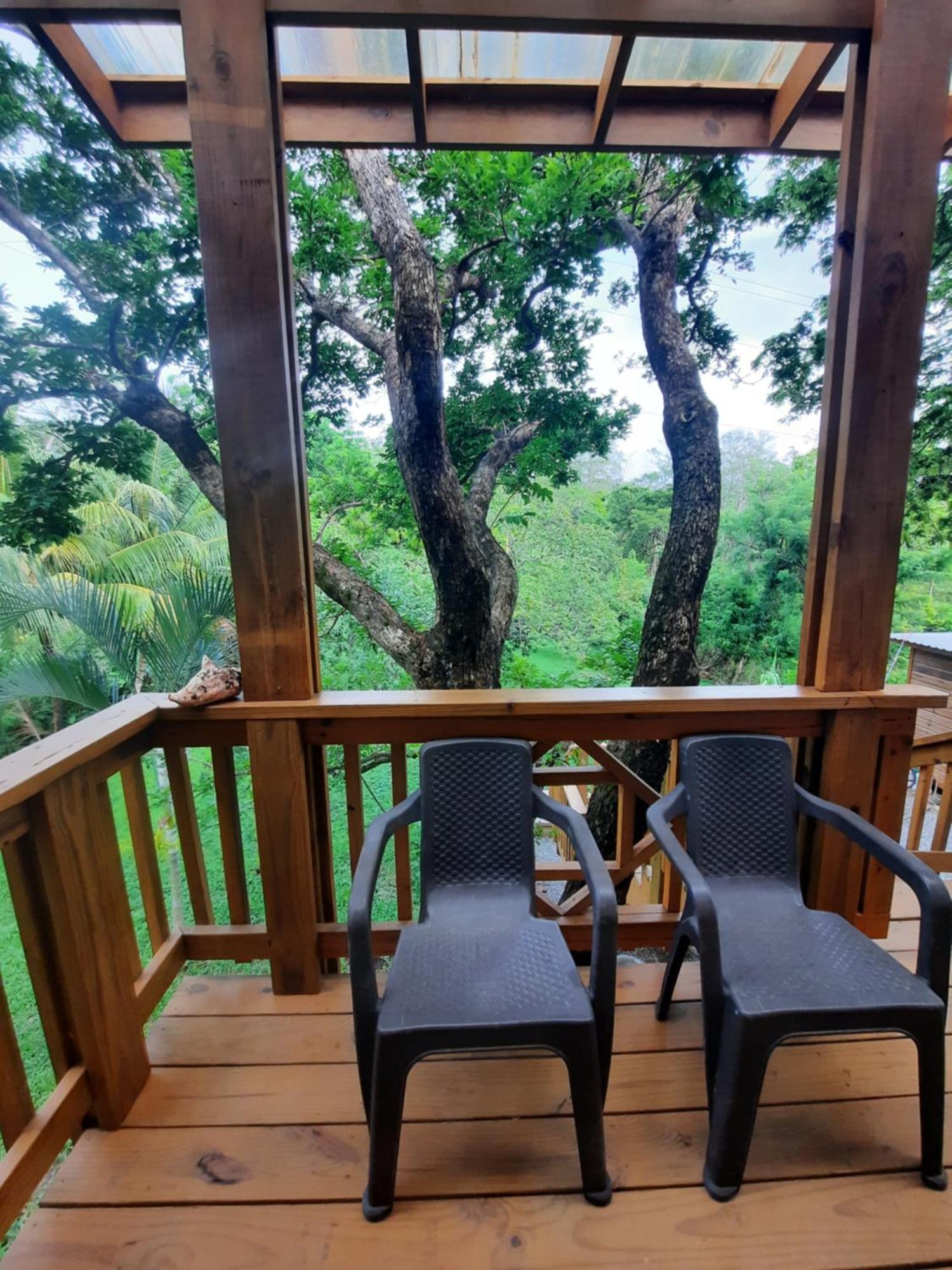 Guava Grove Resort & Villas Sandy Bay Eksteriør billede