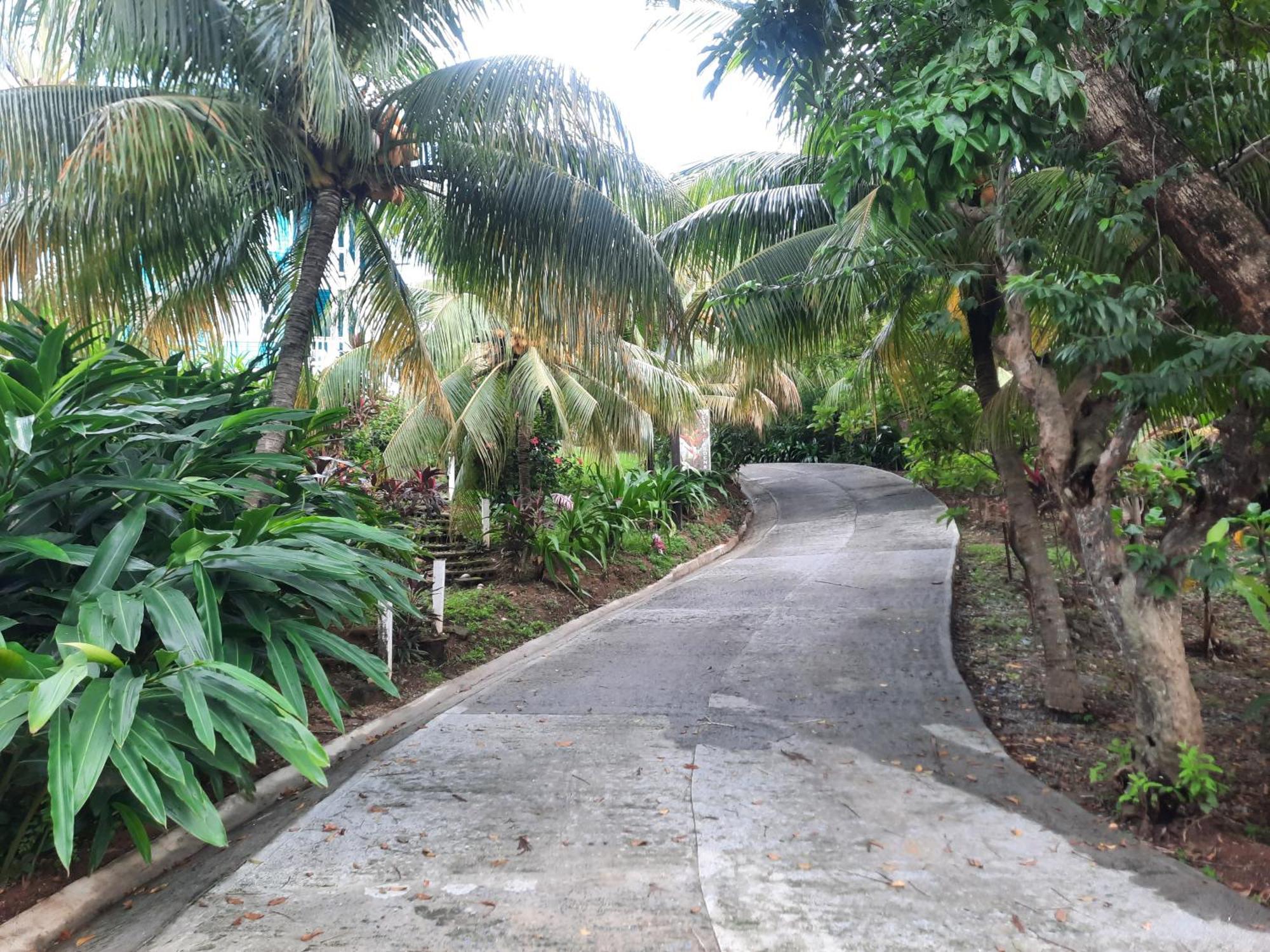 Guava Grove Resort & Villas Sandy Bay Eksteriør billede